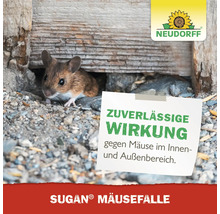 Eine Maus vor einem Loch und dem Hinweis auf eine zuverlässige Wirkung gegen Mäuse von Sugan Mäusefalle. Neudorff Logo.
