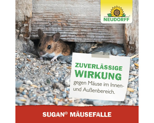Eine Maus vor einem Loch und dem Hinweis auf eine zuverlässige Wirkung gegen Mäuse von Sugan Mäusefalle. Neudorff Logo.