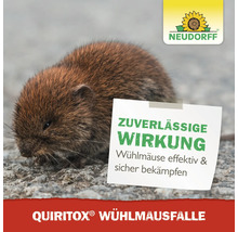 Feldmaus neben Notiz mit dem Text Zuverlässige Wirkung, Wühlmäuse effektiv und sicher bekämpfen. Neudorff Logo