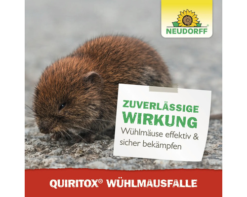 Feldmaus neben Notiz mit dem Text Zuverlässige Wirkung, Wühlmäuse effektiv und sicher bekämpfen. Neudorff Logo