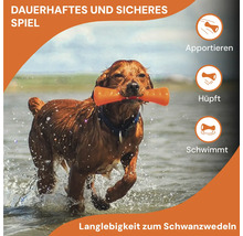 Hund apportiert einen Hundeknochen im Wasser