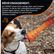 Hund leckt an einem orangefarbenen Bionic Urban Stick mit Futtertaschen