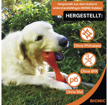 Golden Retriever mit Bionic Hundespielzeug aus Gummi im Maul