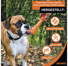 Hund leckt an einem Bionic Gummispielzeug, das ohne Phthalate, BPA und Blei hergestellt wurde