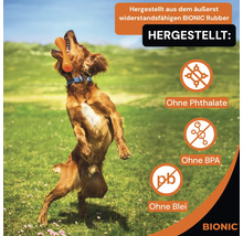 Hund mit Spielzeug aus widerstandsfähigem Bionic Rubber. Frei von Phthalaten, BPA und Blei.