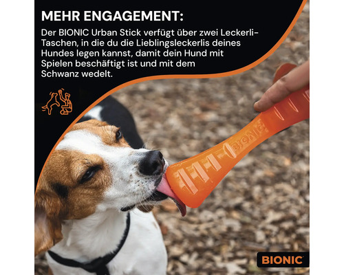 Ein Hund leckt an einem Bionic Urban Stick mit zwei Fächern für Leckerlis.
