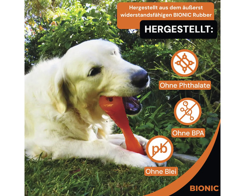 Golden Retriever mit Bionic Hundespielzeug aus widerstandsfähigem Gummi, ohne Phthalate, BPA und Blei