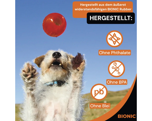 Ein Hund springt nach einem roten Bionic-Spielzeugball, der aus robustem Bionic-Gummi hergestellt ist, ohne Phthalate, BPA und Blei. Bionic-Logo.