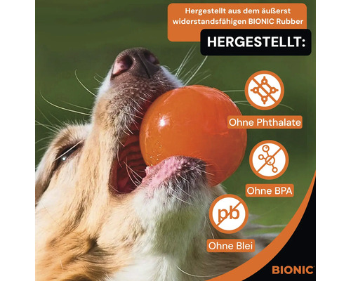 Hund mit einem orangefarbenen Ball im Maul, hergestellt aus widerstandsfähigem Bionic Rubber, ohne Phthalate, BPA und Blei, Bionic Logo