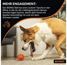 Ein Hund spielt mit einem Bionic Ball, einem Hundespielzeug mit Leckerli-Tasche.