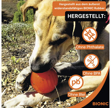 Hund spielt mit einem orangefarbenen Bionic Ball, hergestellt aus widerstandsfähigem Bionic Rubber, ohne Phthalate, BPA oder Blei.
