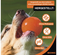 Hund mit Spielball im Maul. Der Ball ist frei von Phthalaten, BPA und Blei. Bionic Logo