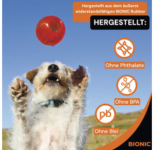 Hund versucht, einen roten Ball aus Bionic Rubber zu fangen. Das Produkt ist ohne Phthalate, ohne BPA und ohne Blei.