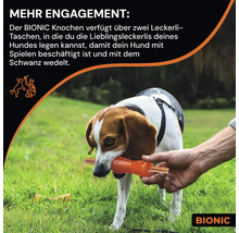 Hund trägt Bionic Knochen Spielzeug im Maul