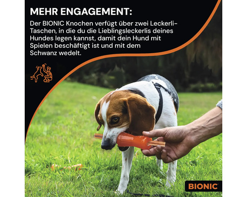 Hund trägt Bionic Knochen Spielzeug im Maul