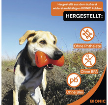 Hund mit robustem, orangefarbenem Bionic-Kauspielzeug im Maul, hergestellt ohne Phthalate, BPA und Blei.
