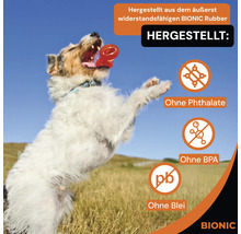 Hund spielt mit robustem Bionic Rubber Spielzeug, hergestellt ohne Phthalate, BPA und Blei. Bionic Logo.