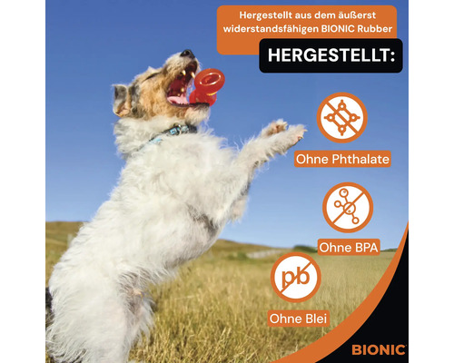 Hund spielt mit robustem Bionic Rubber Spielzeug, hergestellt ohne Phthalate, BPA und Blei. Bionic Logo.