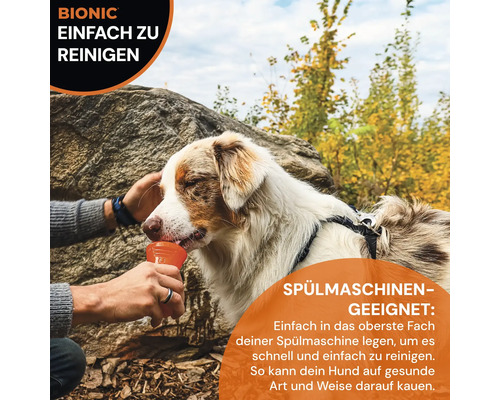 Ein Hund kaut auf einem Bionic Hundespielzeug im Freien.