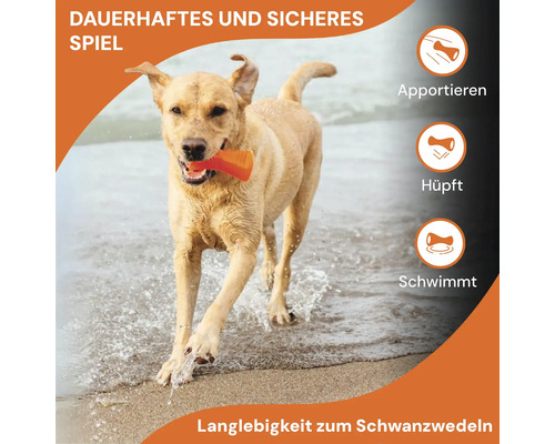 Ein Hund apportiert ein Spielzeug am Strand. Das Spielzeug ist langlebig, sicher, hüpft und schwimmt.