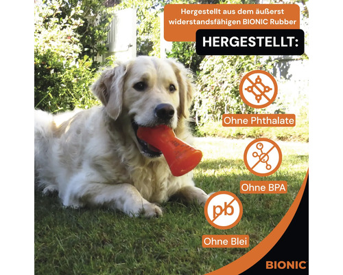 Hund mit robustem Bionic Gummispielzeug ohne Phthalate, ohne BPA und ohne Blei.