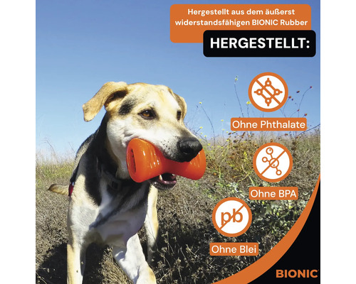 Ein Hund hält ein orangefarbenes Bionic-Hundespielzeug im Maul, das aus widerstandsfähigem Bionic-Gummi hergestellt wurde. Das Spielzeug ist frei von Phthalaten, BPA und Blei. Bionic Logo.
