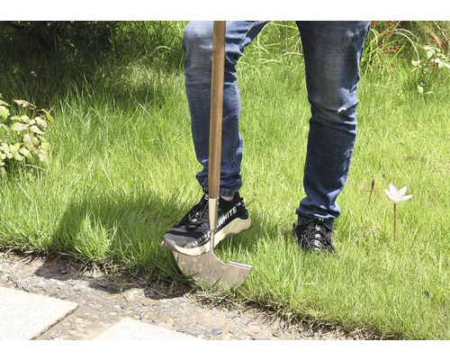 Person mit Unkrautstecher im Rasen.