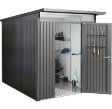 Metall Gerätehaus mit geöffneter Tür und Regalen