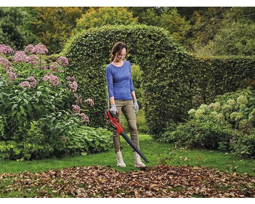 Frau benutzt einen Laubsauger im Garten, um Laub zu entfernen.