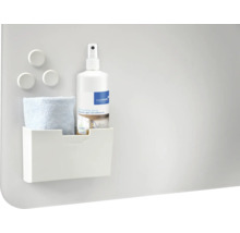 Legamaster Reinigungsset für Whiteboards mit Reinigungsspray, Aufbewahrungsbox, Tuch und Magneten