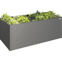 Grauer Pflanzkasten mit Salatbepflanzung.