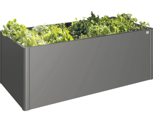 Grauer Pflanzkasten mit Salatbepflanzung.