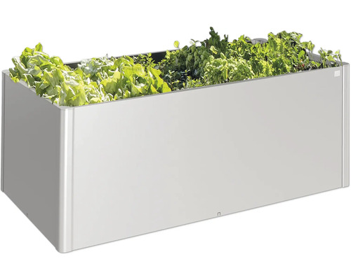 Hochbeet mit Salat und Kräutern