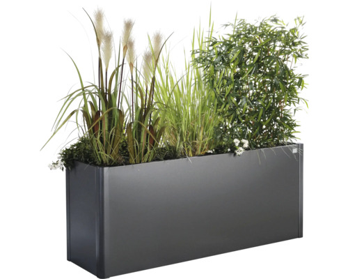 Rechteckiger Pflanzkasten mit verschiedenen Gräsern und Pflanzen