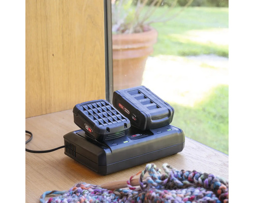 Ladegerät mit zwei Akkus der Marke Power Plus