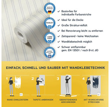 Tapetenrolle mit Streifenmuster und Informationen zur Anbringung sowie Qualitätsmerkmalen