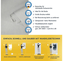 Vliestapete mit Anwendungsanleitung und Produkteigenschaften
