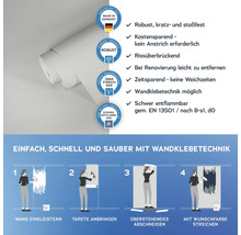Tapete mit Anwendungsanleitung und Produkteigenschaften