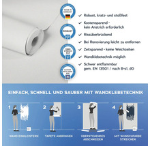 Tapetenrolle mit Informationen zu Produkteigenschaften und Verarbeitungshinweisen.
