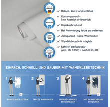 Tapetenrolle mit Produkteigenschaften und Anwendungsanleitung für Wandklebetechnik