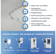 Tapetenrolle mit Anwendungshinweisen und Produkteigenschaften