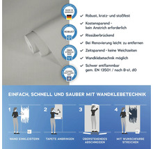 Illustration einer überstreichbaren Tapetenrolle mit Produkteigenschaften und Anbringungsanleitung