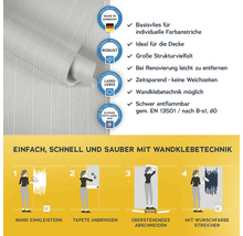 Vliestapete mit Anwendungsanleitung und Produkteigenschaften wie Robustheit und Schwerentflammbarkeit