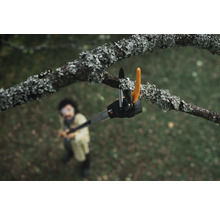 Person benutzt eine Astschere an einem Baum
