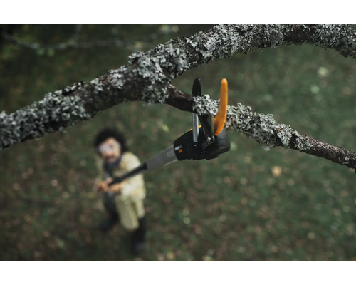 Person benutzt eine Astschere an einem Baum