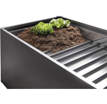 Hochbeet mit Erde und Salatpflanzen.