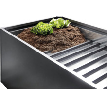 Hochbeet mit Salatpflanzen und Erde