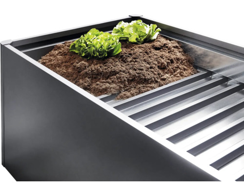 Hochbeet mit Erde und Salatpflanzen