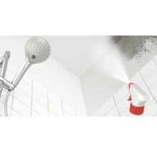 Sprühflasche zur Schimmelentfernung in einer Dusche