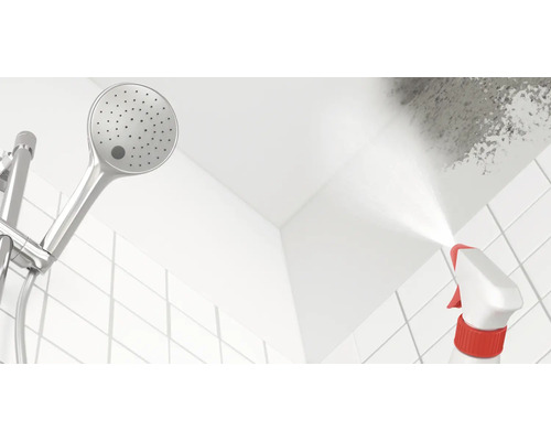 Sprühflasche zur Schimmelentfernung in einer Dusche